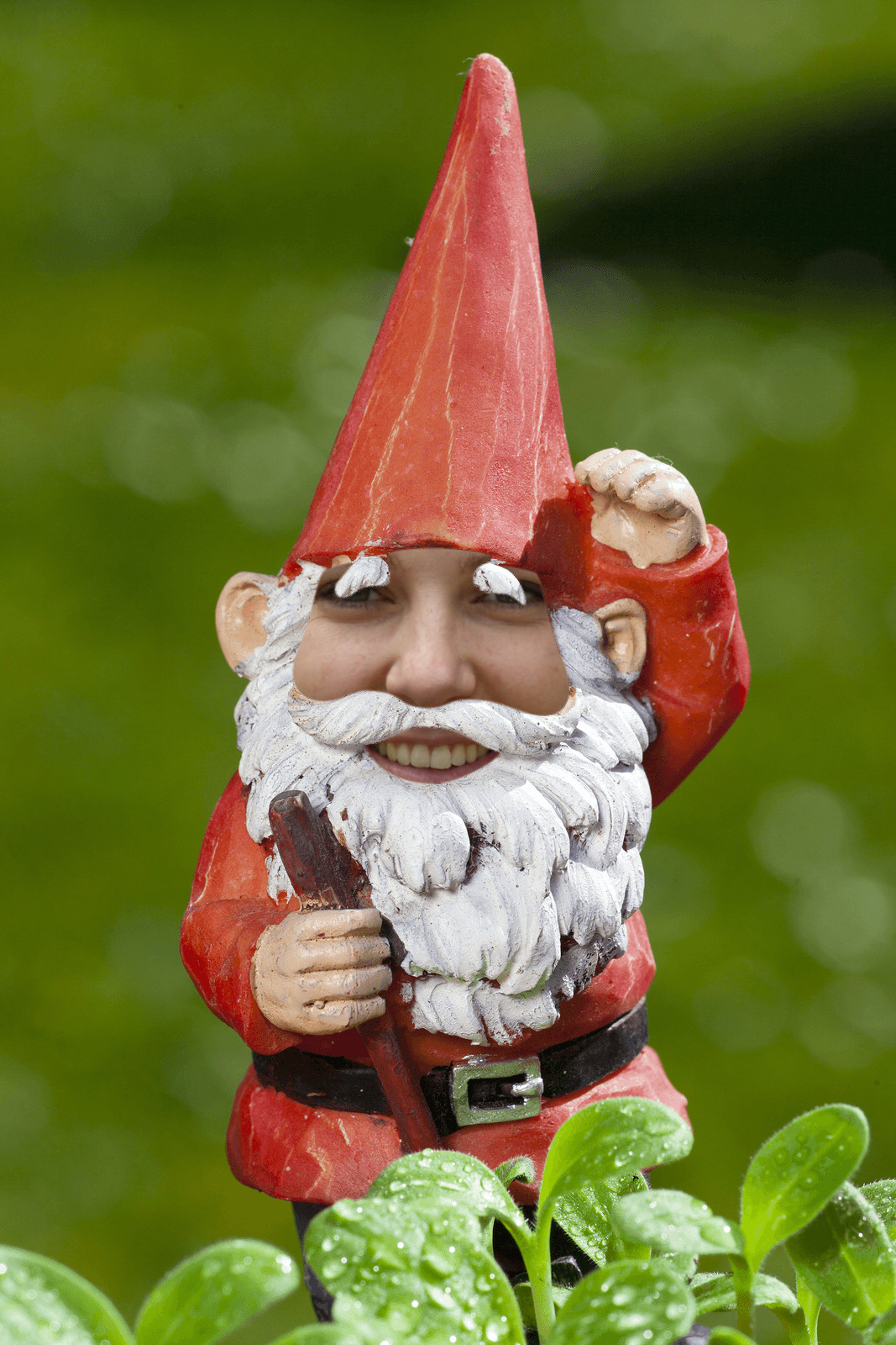 Annalyn Frame gnome