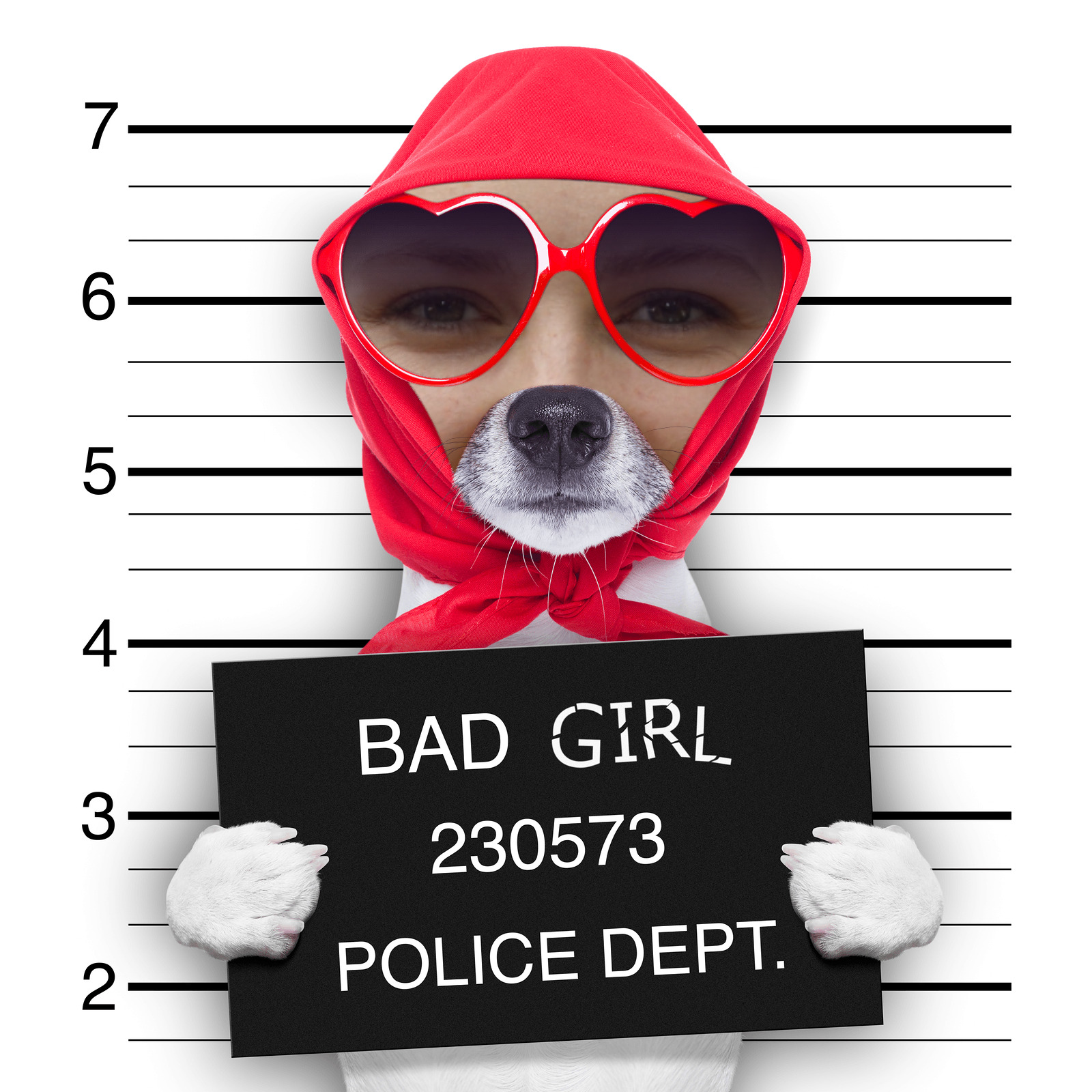 Annalyn Frame bad girl dog